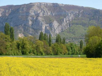 Chemins de Compostelle : Genève -  Le Puy - France